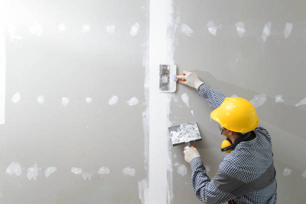 Best Industrial Mold Remediation  in Robinhood, MS