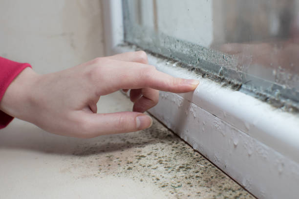 Best Mold-Related Health Consultation  in Robinhood, MS