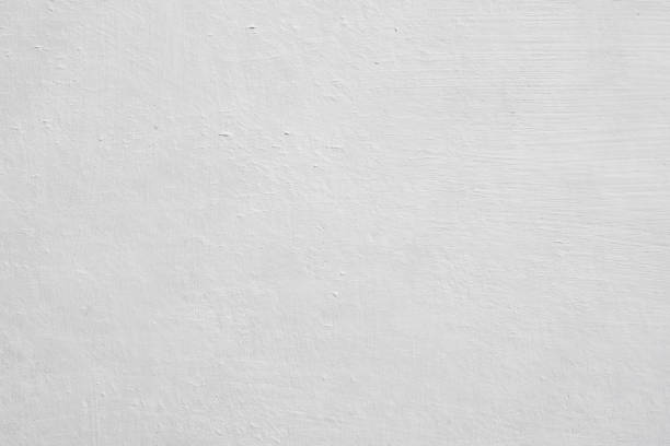 Best Black Mold Removal  in Robinhood, MS