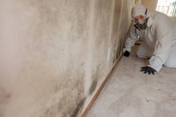 Best Airborne Mold Testing  in Robinhood, MS