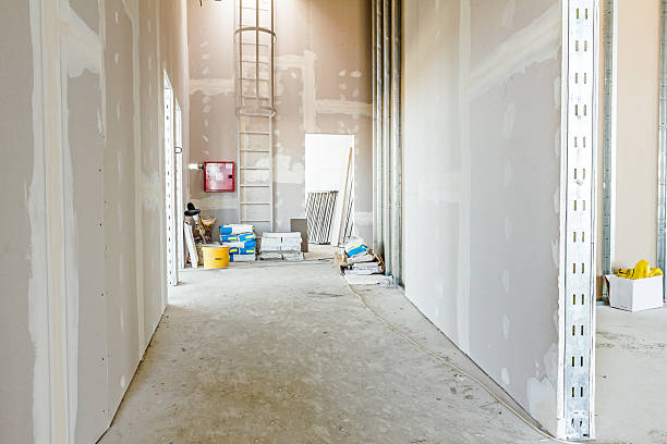 Best Mold Prevention Services  in Robinhood, MS