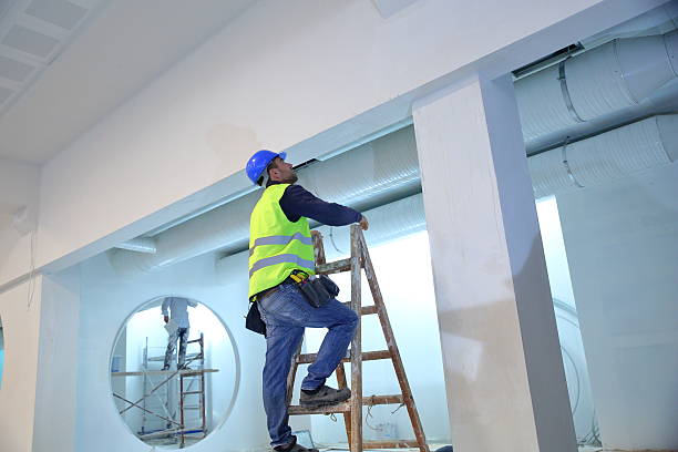 Best Environmental Consulting for Mold Prevention  in Robinhood, MS